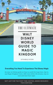 Disney Magic Kingdom Guide For First Time Visitors.